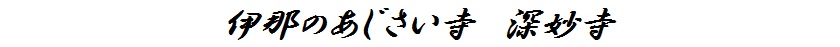 伊那のあじさい寺