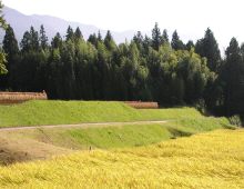 飯島城跡