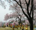 春日城跡桜