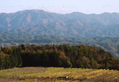 田子城跡