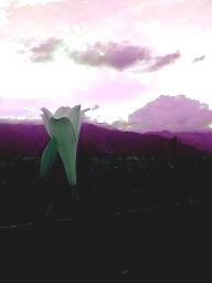 SCޏ