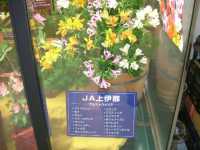 JAɓ߂̃AXgAW