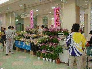 JAɓ߃tFA̗lq