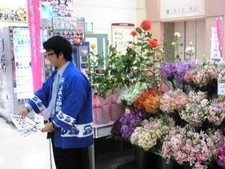 AYntFA̗lq