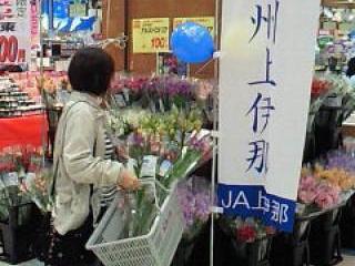 AXgAYntFA̗lq