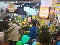 As^CXl