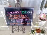 OXlɂ