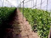 LAnCubg[ޏ