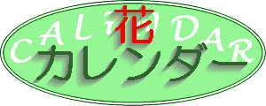 ԃJ_[