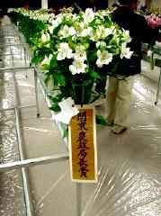 ܂̃o[WjA