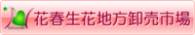 ԏt