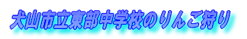 RswẐ񂲎